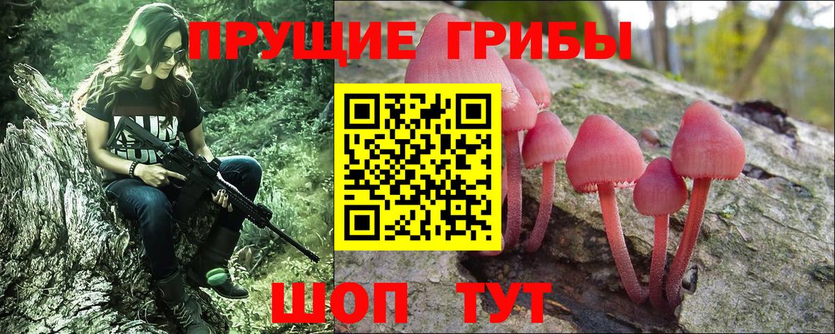 Великий Новгород  Галлюциногенные грибы Cubensis  Вход с VPN  Галлюциногенные грибы GOLDEN TEACHER 